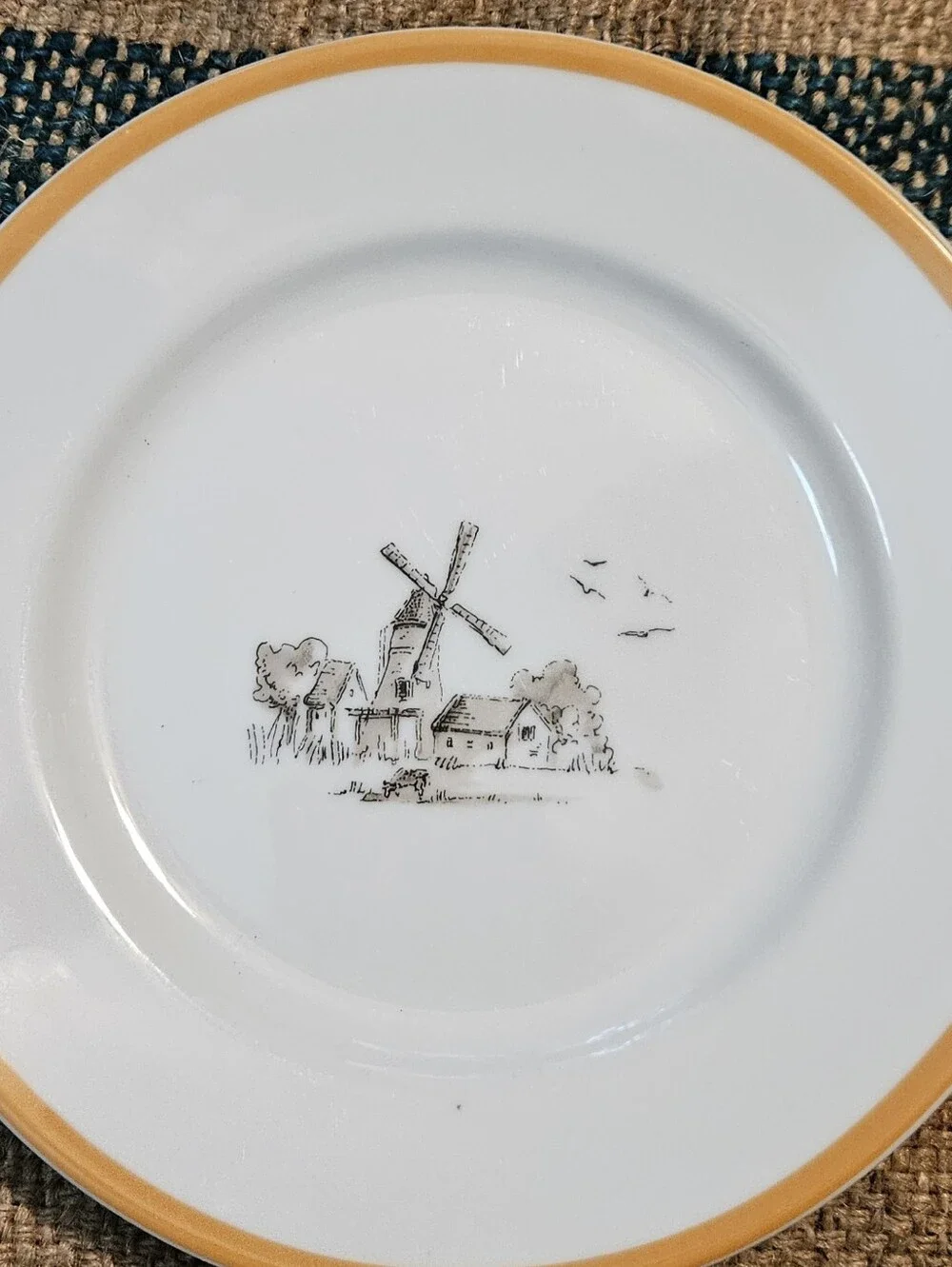 Williams-Sonoma Les Fermiers Salad Plate Windmill Orange Harvest Gold Trim
